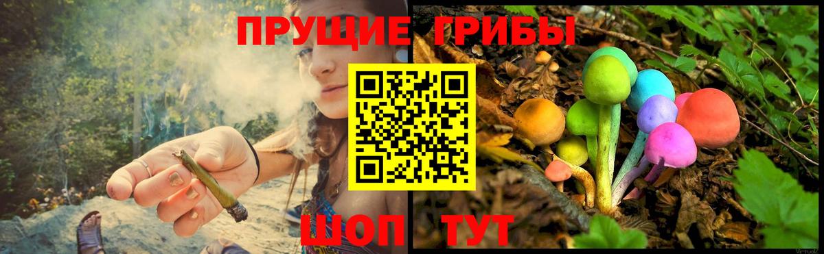Псилоцибиновые грибы прущие грибы Златоуст